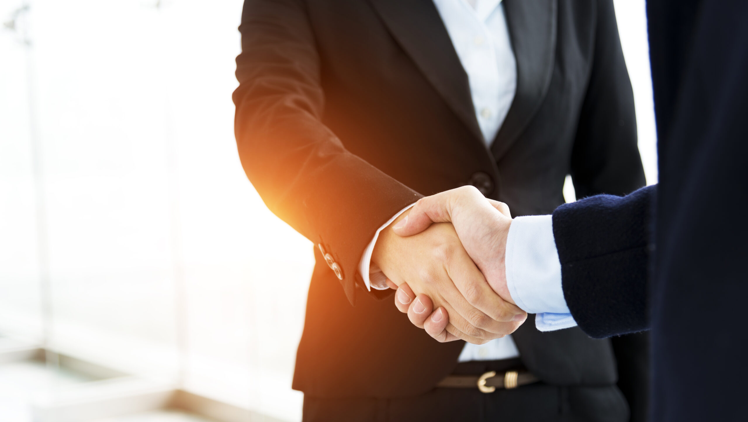 Closeup of business handshake.