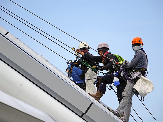 Fall Protection Safety