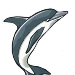 Wilmington Safety School