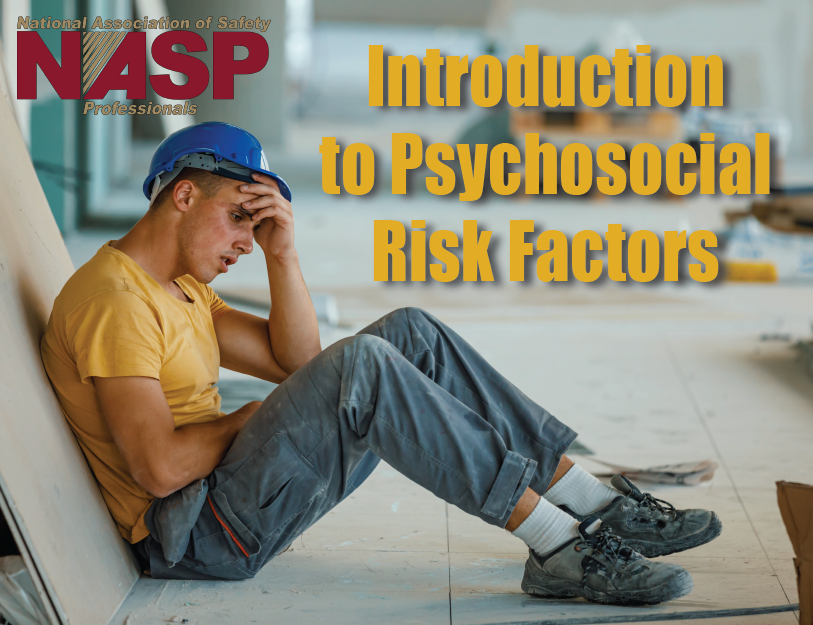 Psychosocial-Risk-Factors